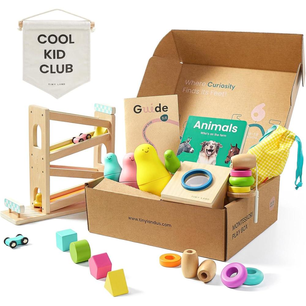 imageTiny Land Montessori Toy Set for Babies 79 Months Senser Play Kit 5in1 Wooden Learning Toys with Object Permanence Box Sensory Ball Stacking Cups and Mirror PuzzleBody Board Book1618M Educational Box